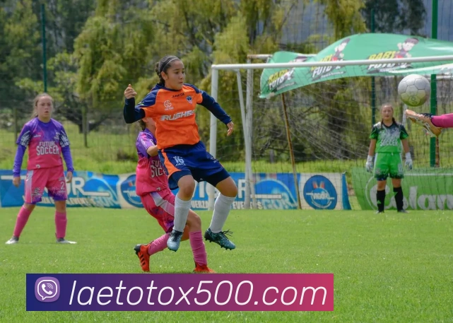 500彩票发展历程